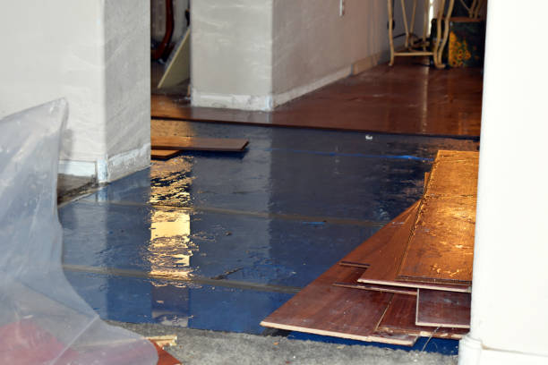 Professional Water Damage Restoration technician working in Hooper, NE